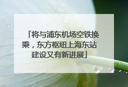 将与浦东机场空铁换乘，东方枢纽上海东站建设又有新进展